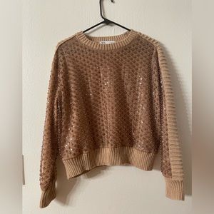 Zara sequined sweater